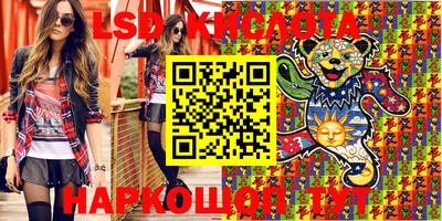 спиды Аргун